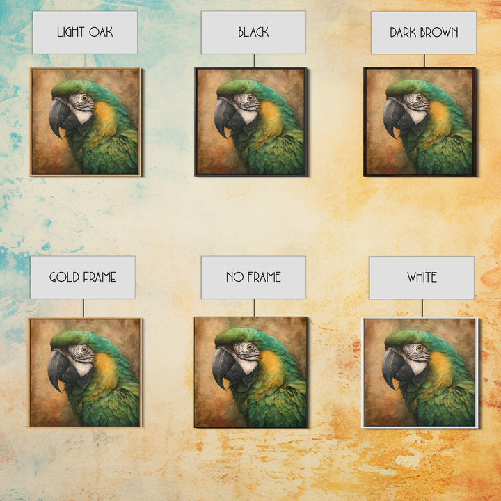 Parrot Portrait with Emerald Feathers Framed Canvas Print, Tropical Art, Gallery Decor, Living Room Decor, Fine Art, Tropic, TRO-1x1-32