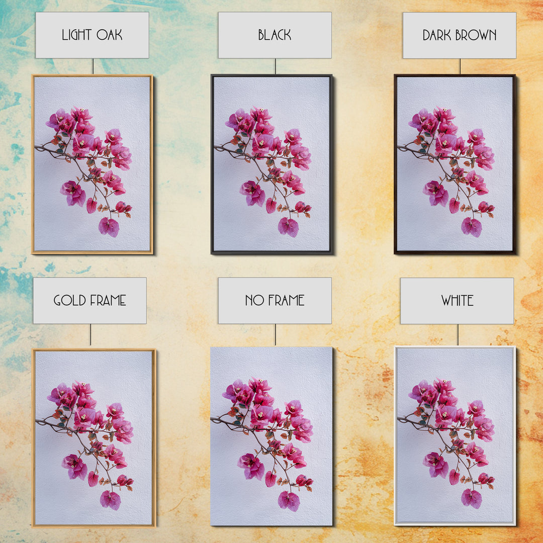 Pink Bougainvillea over White Wall Framed Canvas Print, Tropical Art, Modern Decor, Living Room Decor, Fine Art, Tropic, TRO-2x3-24