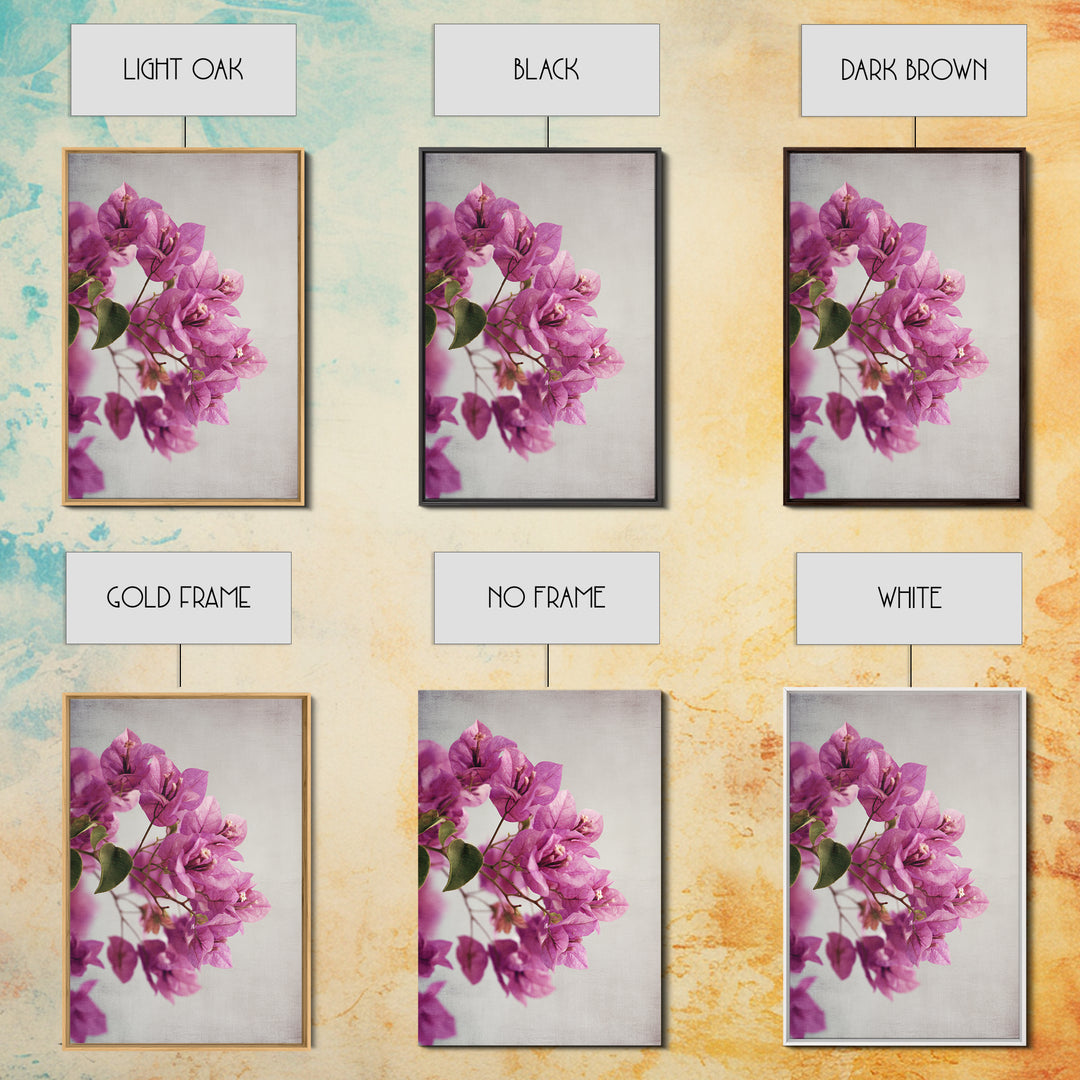 Pink Bougainvillea over White Wall Canvas Print, Tropical Art, Abstract Painting, Living Room Decor, Fine Art, Tropic, TRO-2x3-96