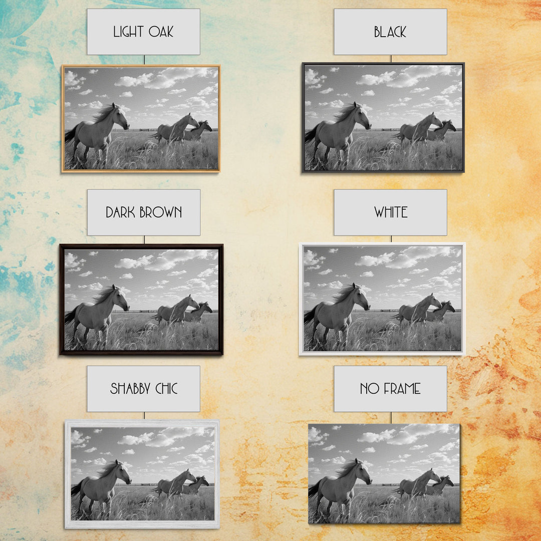 Fine Art Framed Canvas Print, Metal Art, Black & White Photo of Wild Mustangs, Horse Art, American Horses Landscape / Nature / Wildlife Art