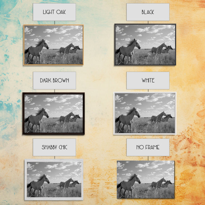 Fine Art Framed Canvas Print, Metal Art, Black & White Photo of Wild Mustangs, Horse Art, American Horses Landscape / Nature / Wildlife Art