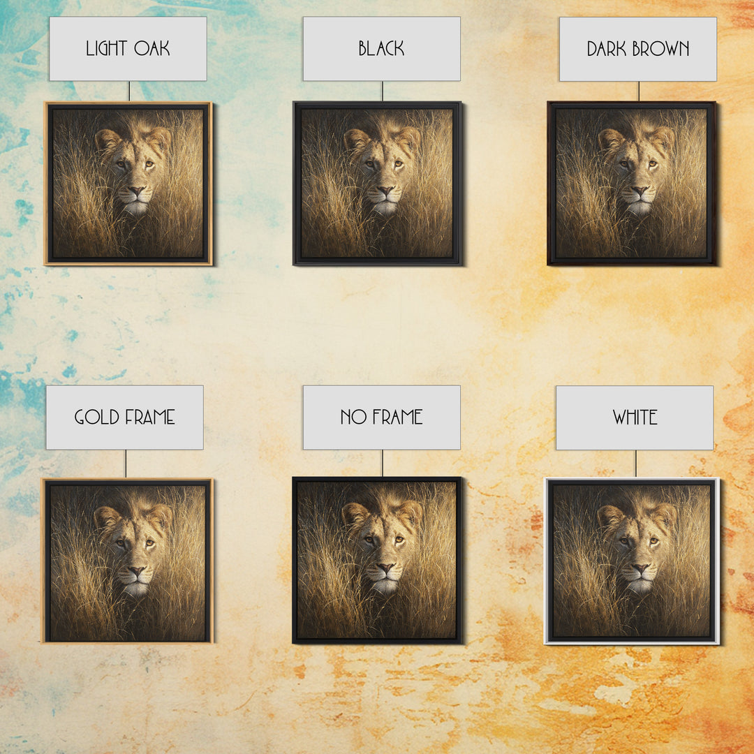 Lion Emerging from Golden Savanna Grass Canvas Print, Wildlife Art, Modern Decor, Living Room Decor, Fine Art, Wild, Home Decor, WIL-1x1-49