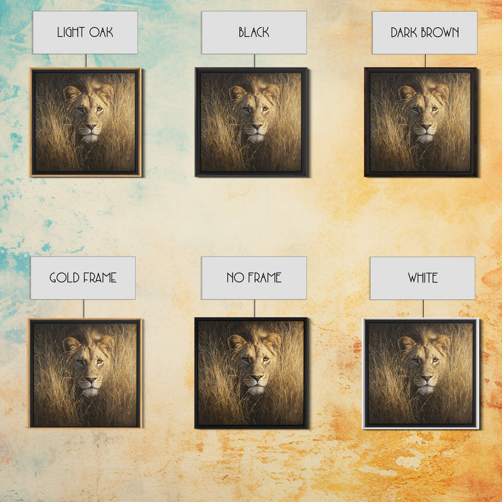 Lion Emerging from Golden Savanna Grass Canvas Print, Wildlife Art, Modern Decor, Living Room Decor, Fine Art, Wild, Home Decor, WIL-1x1-49