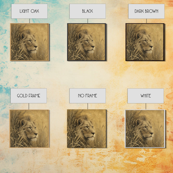 Lion Emerging from Golden Savanna Grass Framed Canvas Print, Wildlife Art, Art Print, Living Room Decor, Watercolor Art, Wild, WIL-1x1-73
