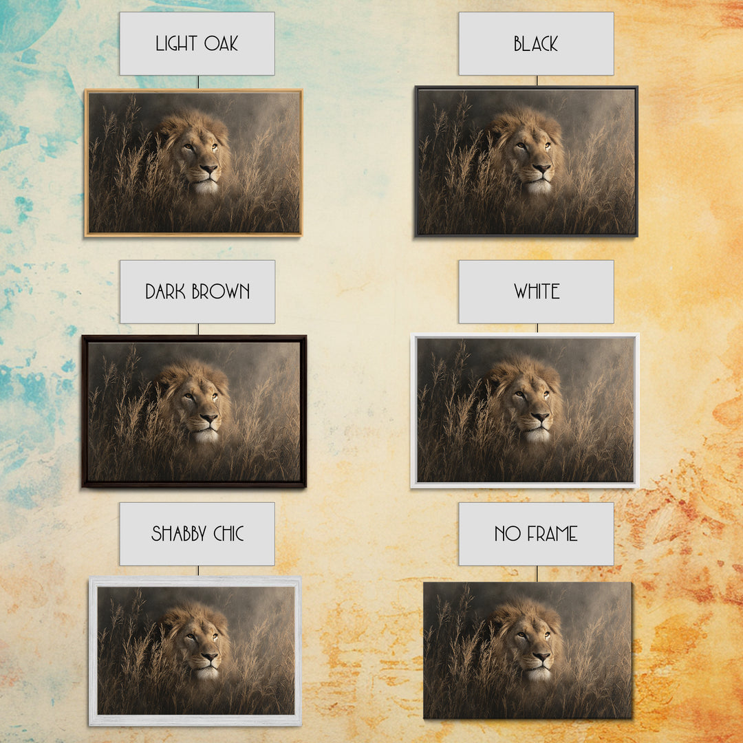 Lion Emerging from Golden Savanna Grass Canvas Print, Wildlife Art, Bird Wall Art, Living Room Decor, Fine Art, Wild, WIL-3x2-53