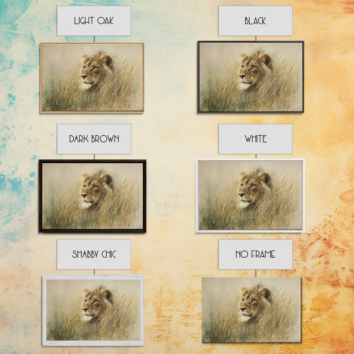 Lion Emerging from Golden Savanna Grass Framed Canvas Print, Wildlife Art, Gallery Decor, Living Room Decor, Fine Art, Wild, WIL-3x2-77